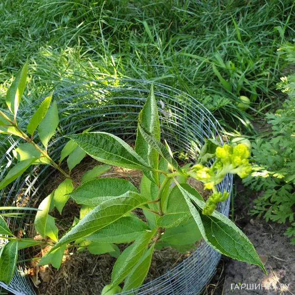 превью изображения отзыва