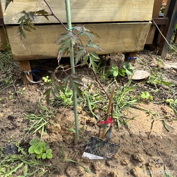 превью изображения отзыва