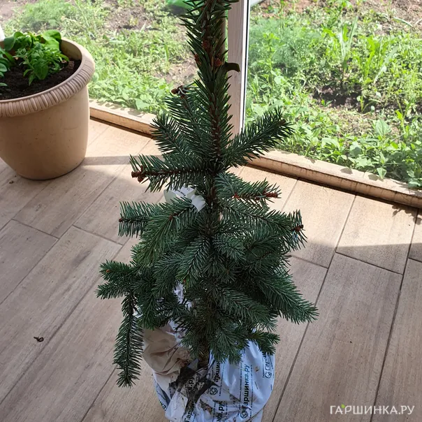 превью изображения отзыва