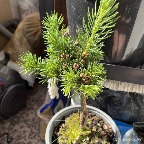 превью изображения отзыва