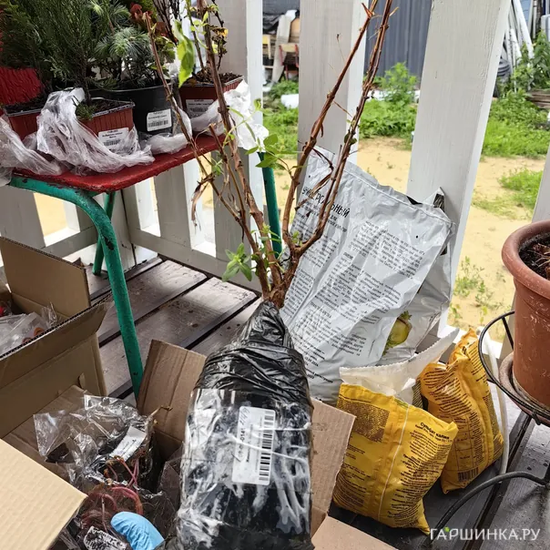 превью изображения отзыва