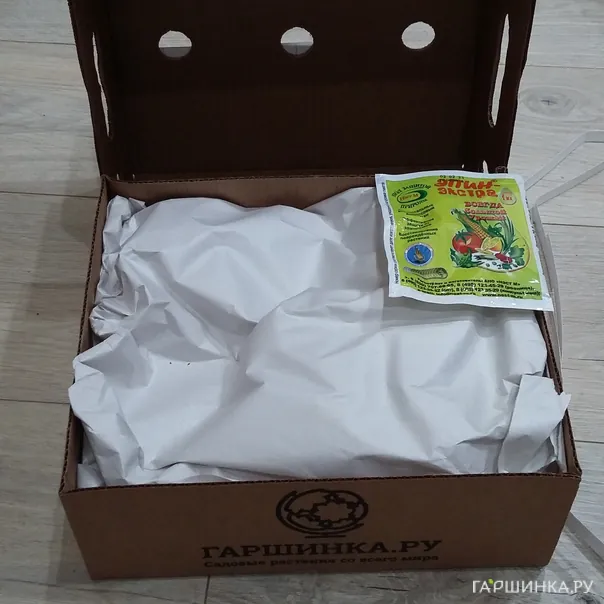 превью изображения отзыва