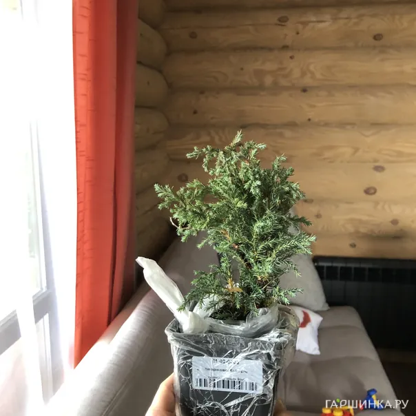 превью изображения отзыва