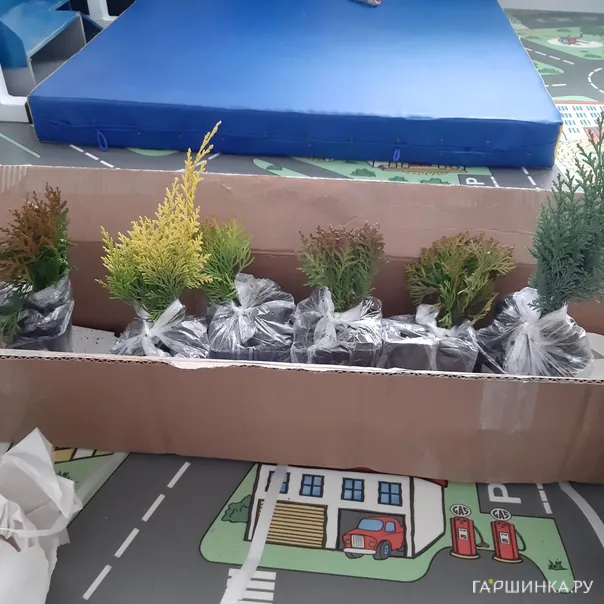 превью изображения отзыва