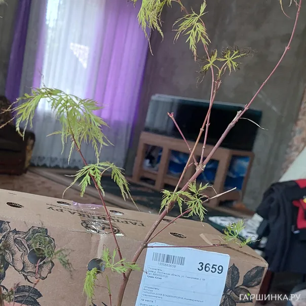 превью изображения отзыва