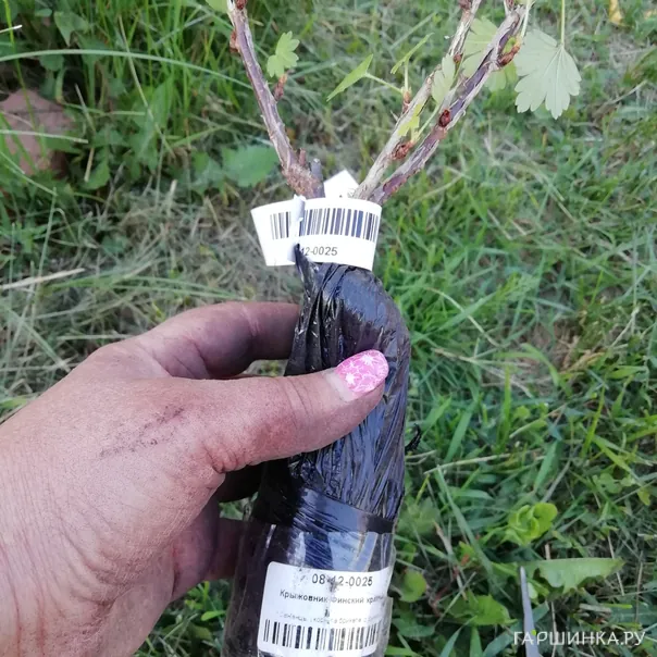 превью изображения отзыва