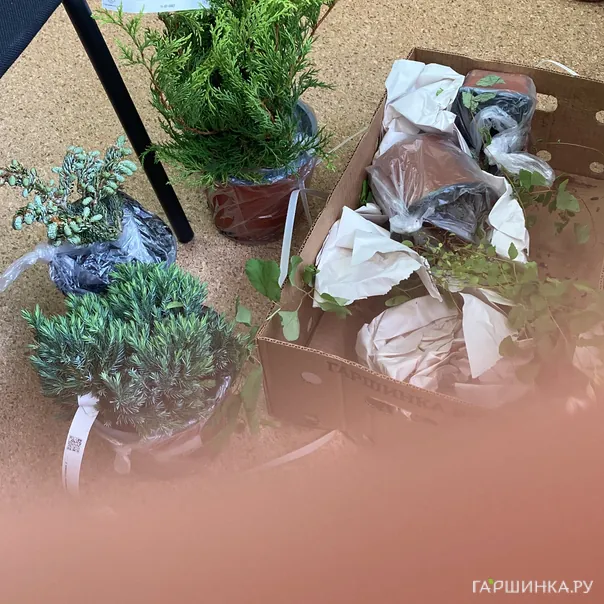 превью изображения отзыва