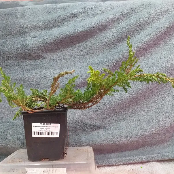 превью изображения отзыва