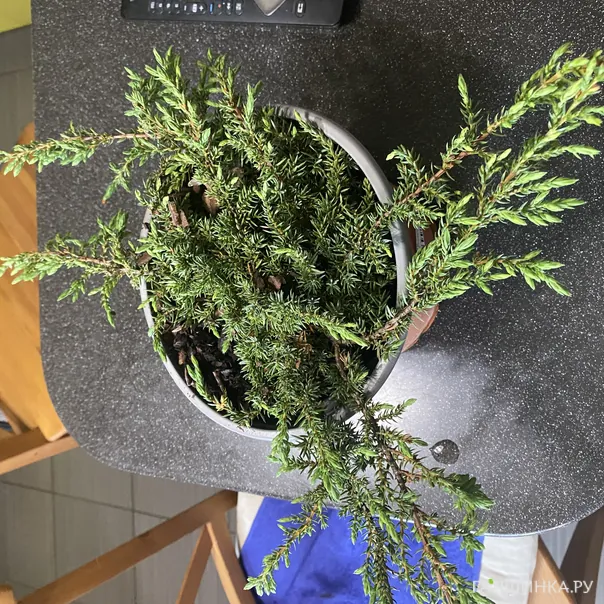 превью изображения отзыва