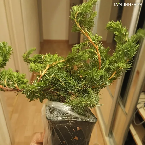 превью изображения отзыва