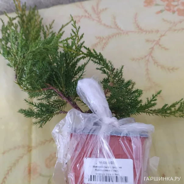 превью изображения отзыва