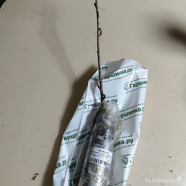 превью изображения отзыва