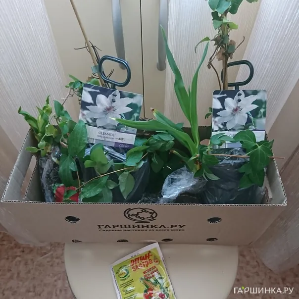 превью изображения отзыва