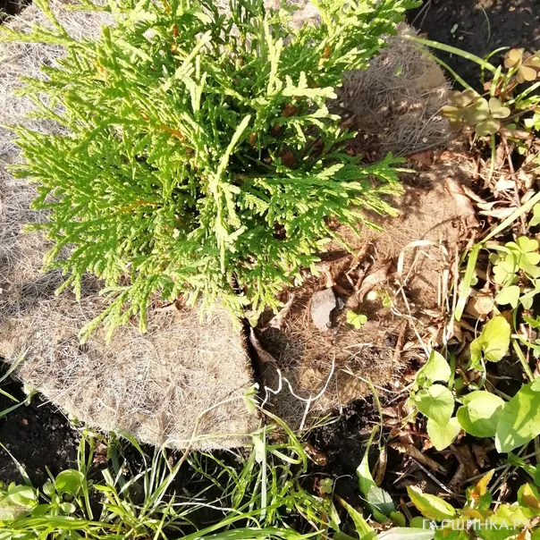 превью изображения отзыва