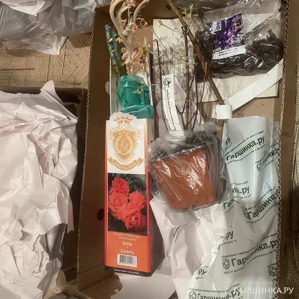 превью изображения отзыва