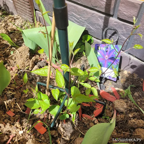 превью изображения отзыва