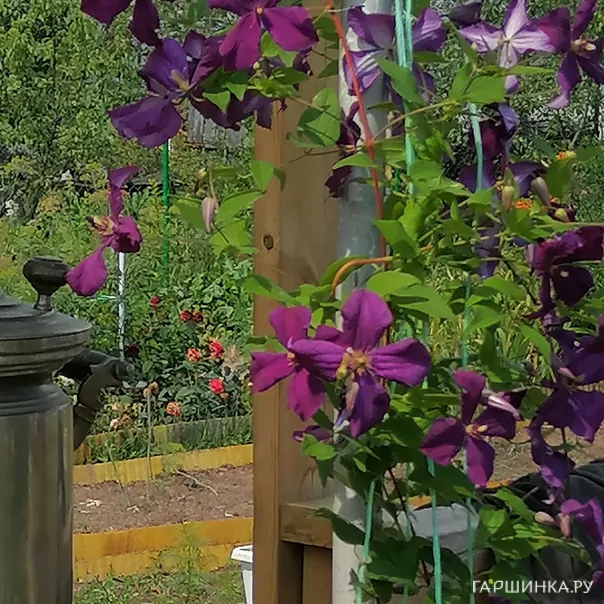 превью изображения отзыва