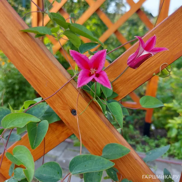 превью изображения отзыва