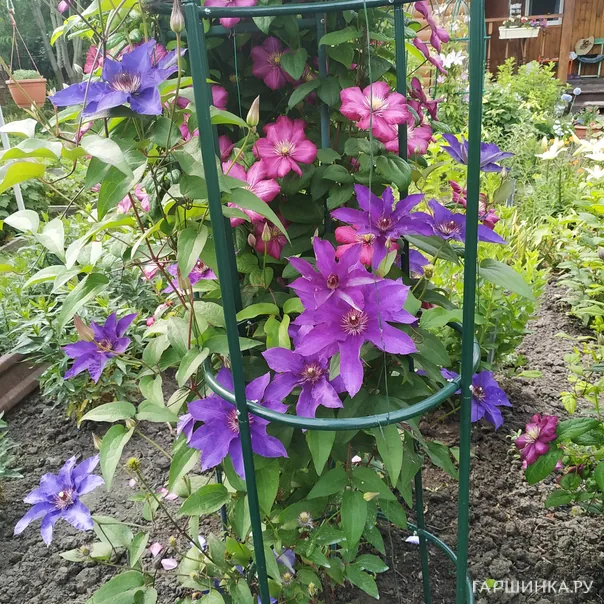 превью изображения отзыва