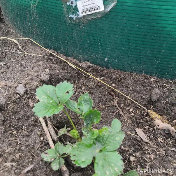 превью изображения отзыва