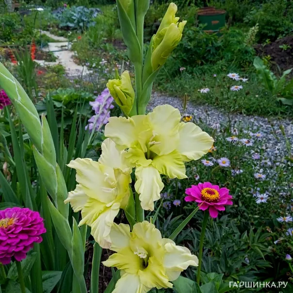 превью изображения отзыва