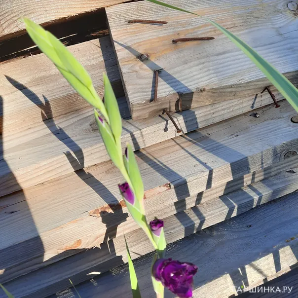 превью изображения отзыва