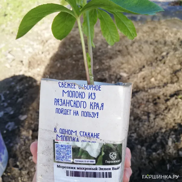 превью изображения отзыва