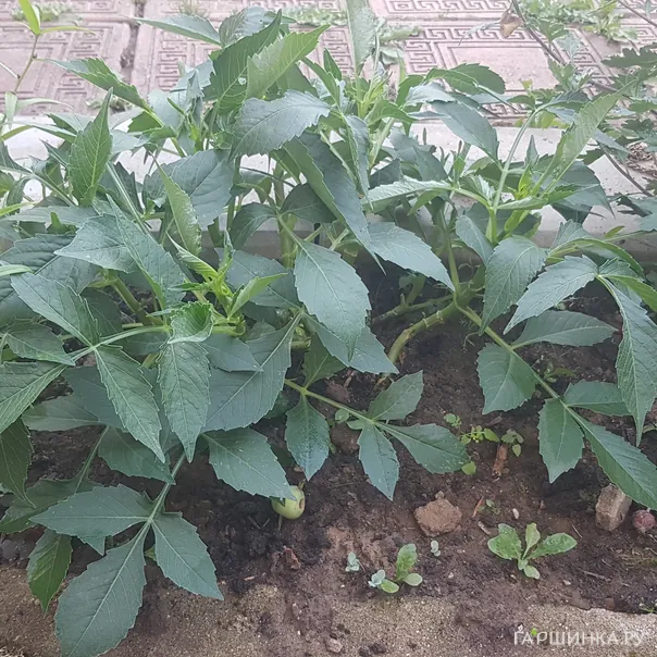 превью изображения отзыва