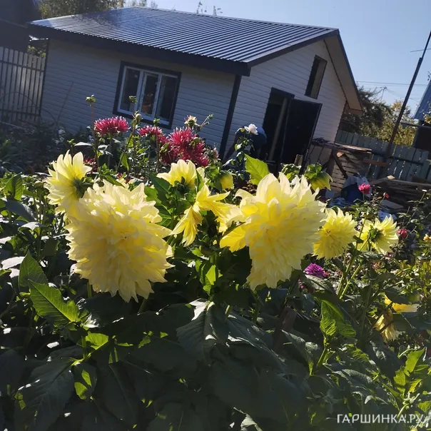 превью изображения отзыва