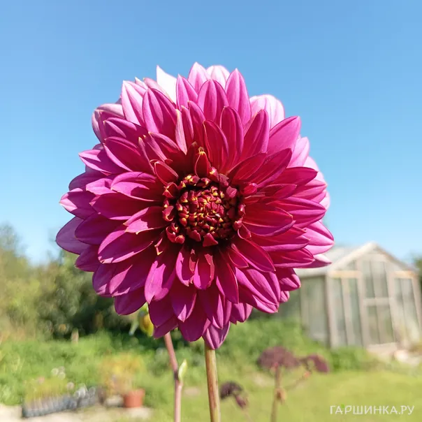 превью изображения отзыва