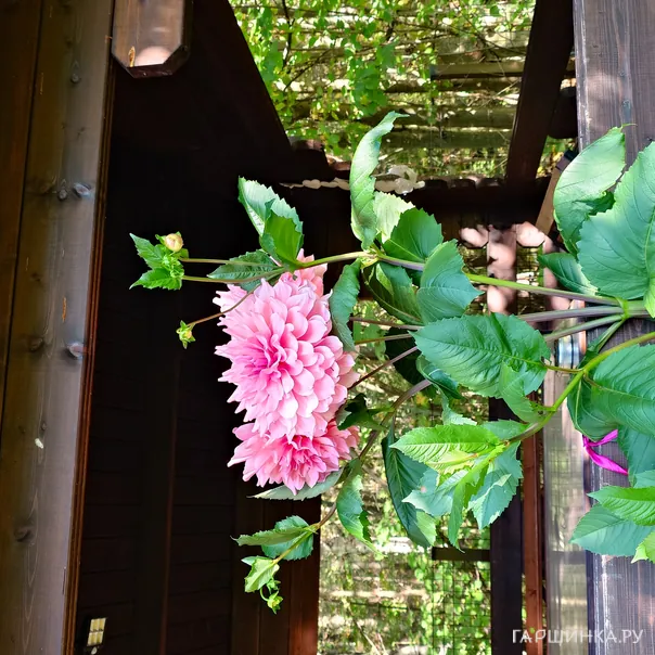 превью изображения отзыва