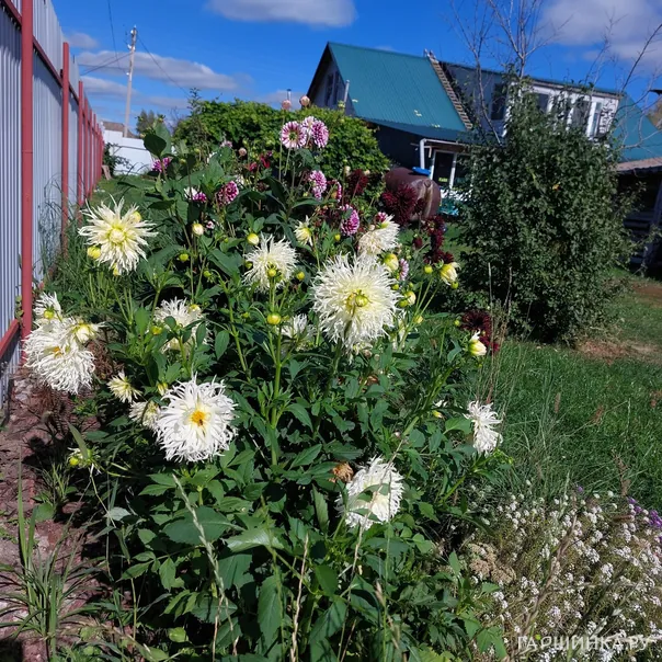 превью изображения отзыва