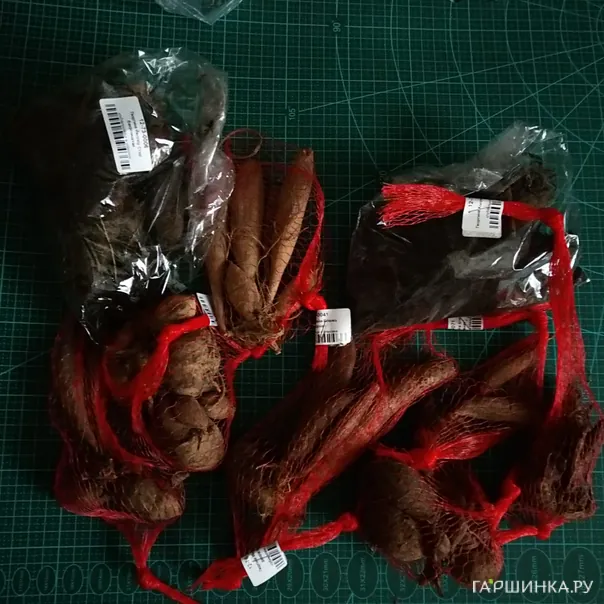 превью изображения отзыва