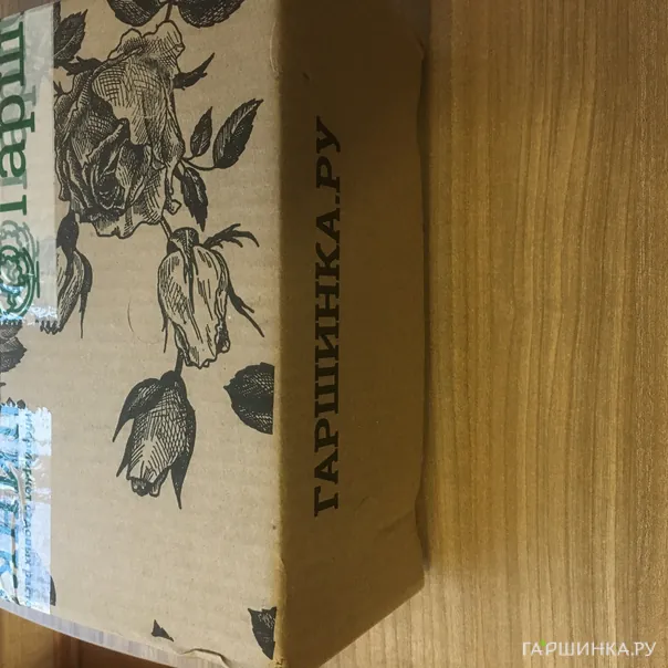 превью изображения отзыва