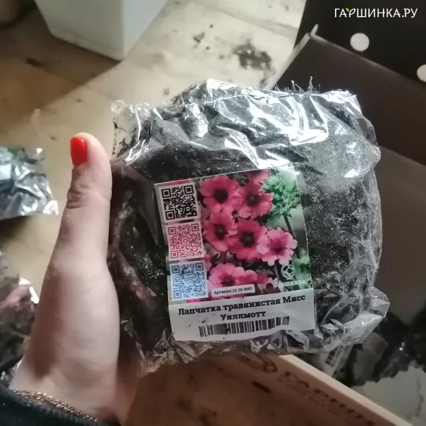 превью изображения отзыва