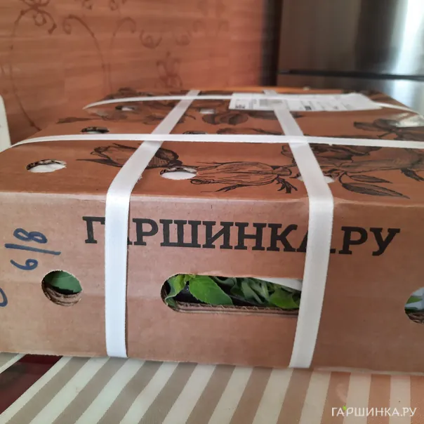 превью изображения отзыва