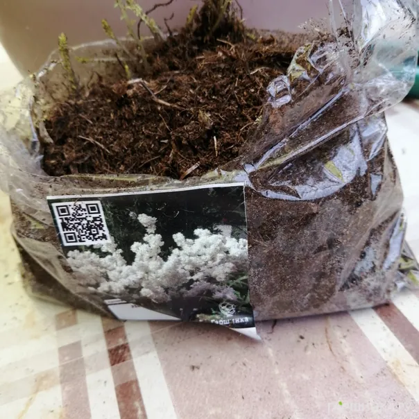 превью изображения отзыва