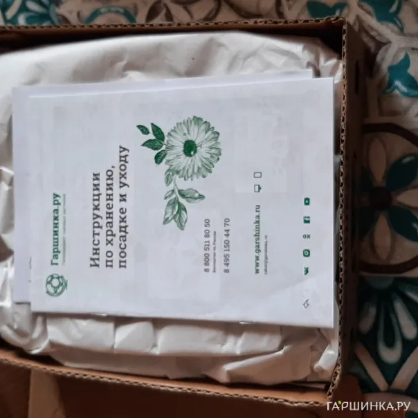 превью изображения отзыва