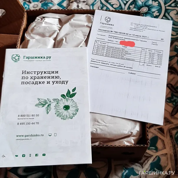 превью изображения отзыва