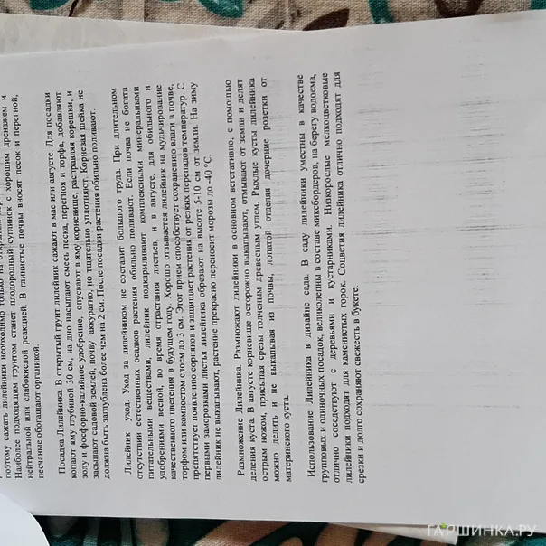 превью изображения отзыва