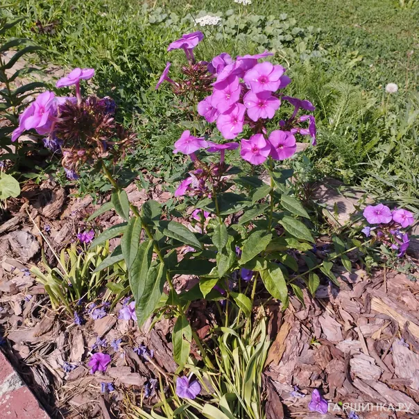 превью изображения отзыва