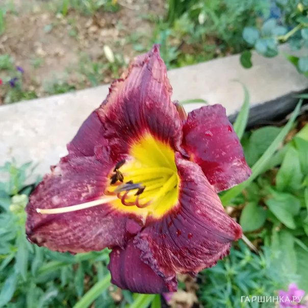 превью изображения отзыва