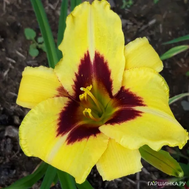 превью изображения отзыва