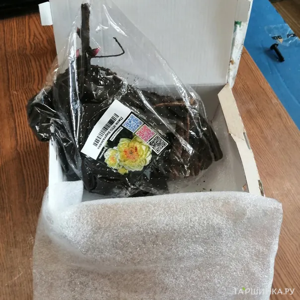 превью изображения отзыва