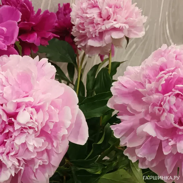 превью изображения отзыва