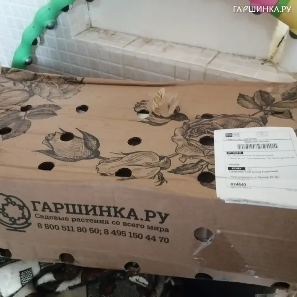 превью изображения отзыва