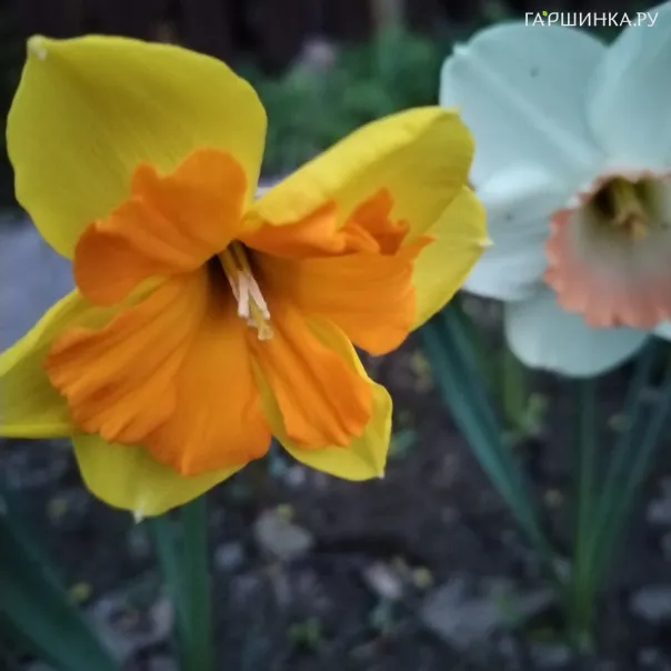 превью изображения отзыва