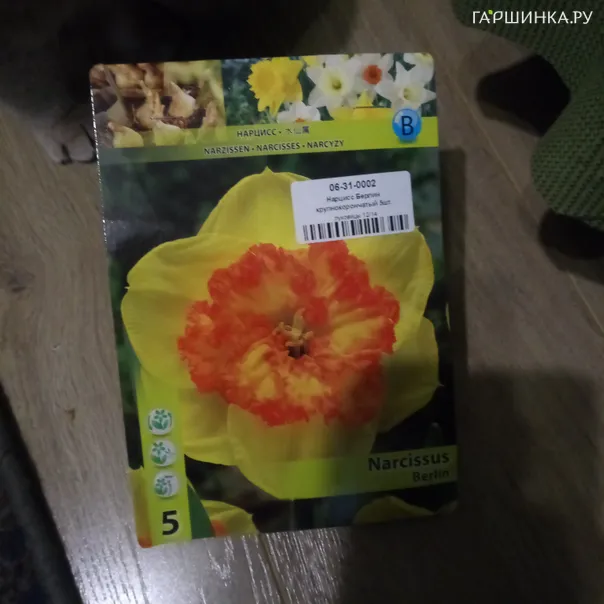 превью изображения отзыва