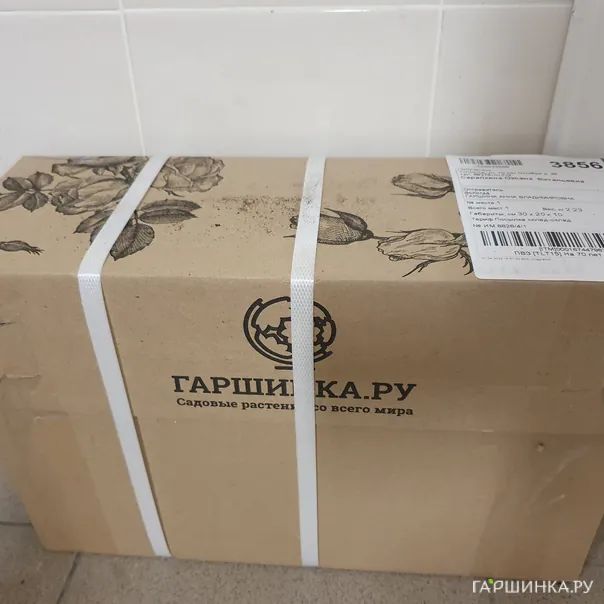 превью изображения отзыва