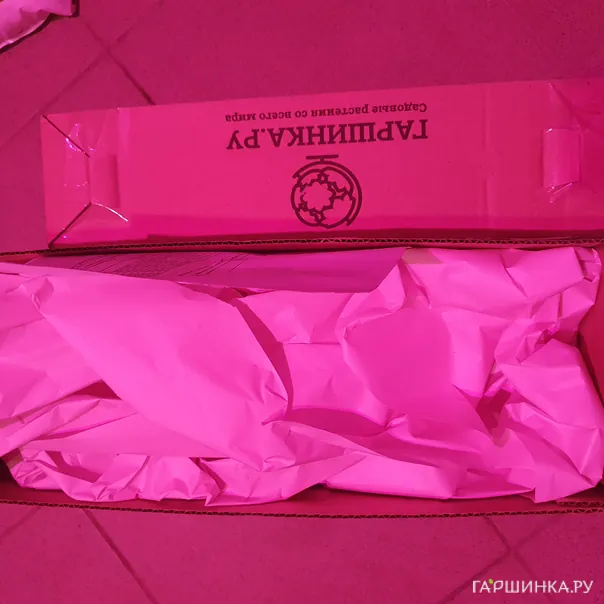 превью изображения отзыва